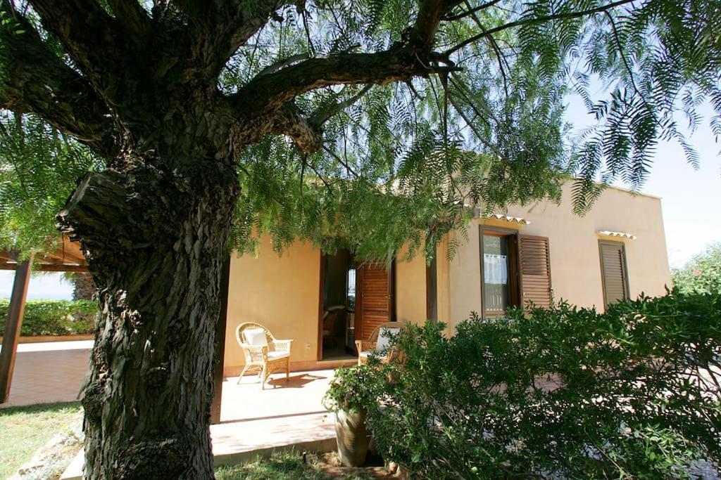 Villa Levante Vista Mare Cornino Custonaci Exterior photo